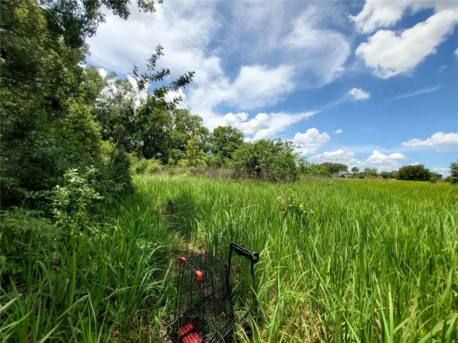 Lakeland, Florida 33801, 0 , 0 ,0,Land,For Sale,WOODLAND,0,L4924795