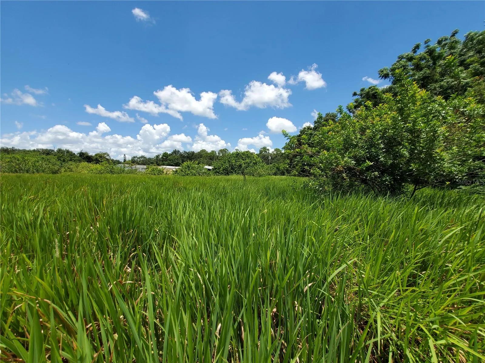 Lakeland, Florida 33801, 0 , 0 ,0,Land,For Sale,WOODLAND,0,L4924795
