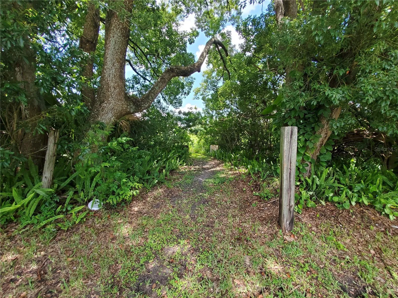 Lakeland, Florida 33801, 0 , 0 ,0,Land,For Sale,WOODLAND,0,L4924795