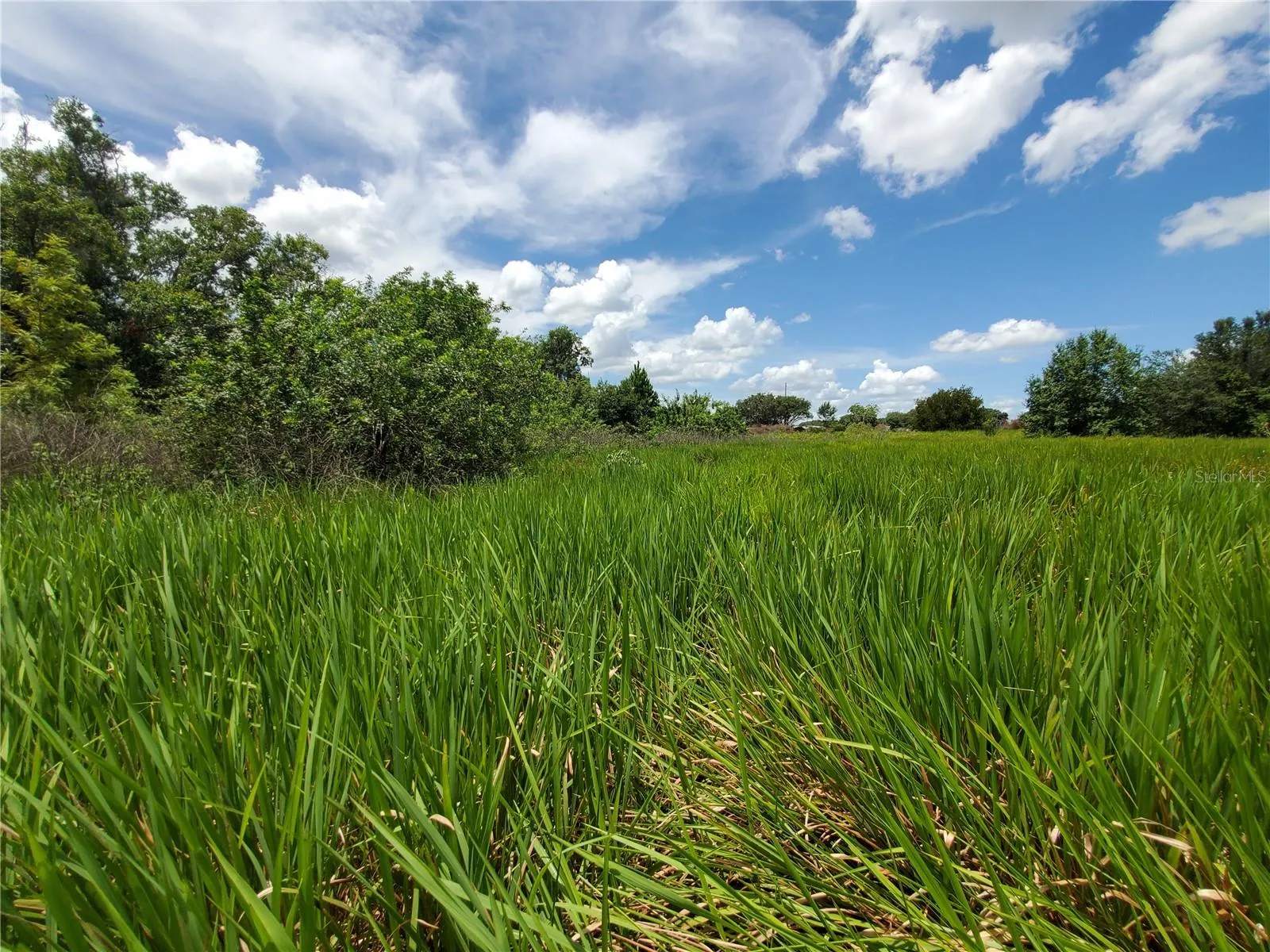 Lakeland, Florida 33801, 0 , 0 ,0,Land,For Sale,WOODLAND,0,L4924795