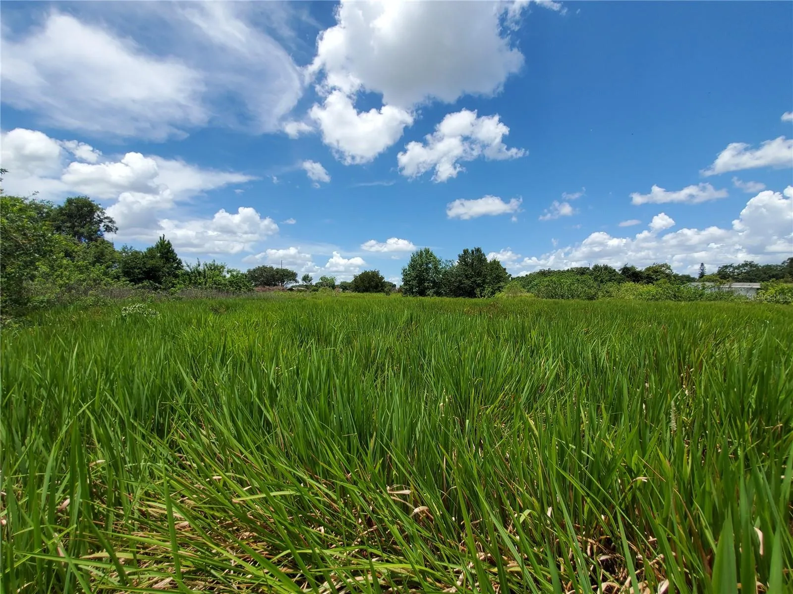 Lakeland, Florida 33801, 0 , 0 ,0,Land,For Sale,WOODLAND,0,L4924795