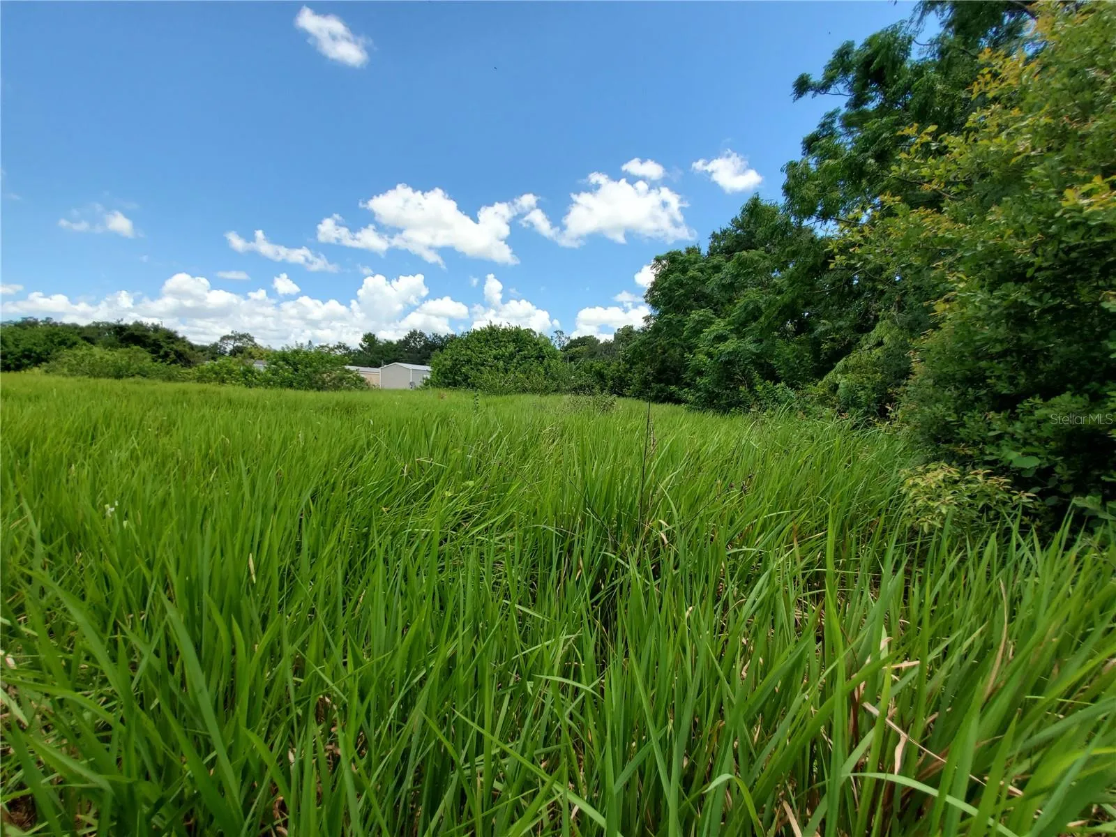 Lakeland, Florida 33801, 0 , 0 ,0,Land,For Sale,WOODLAND,0,L4924795