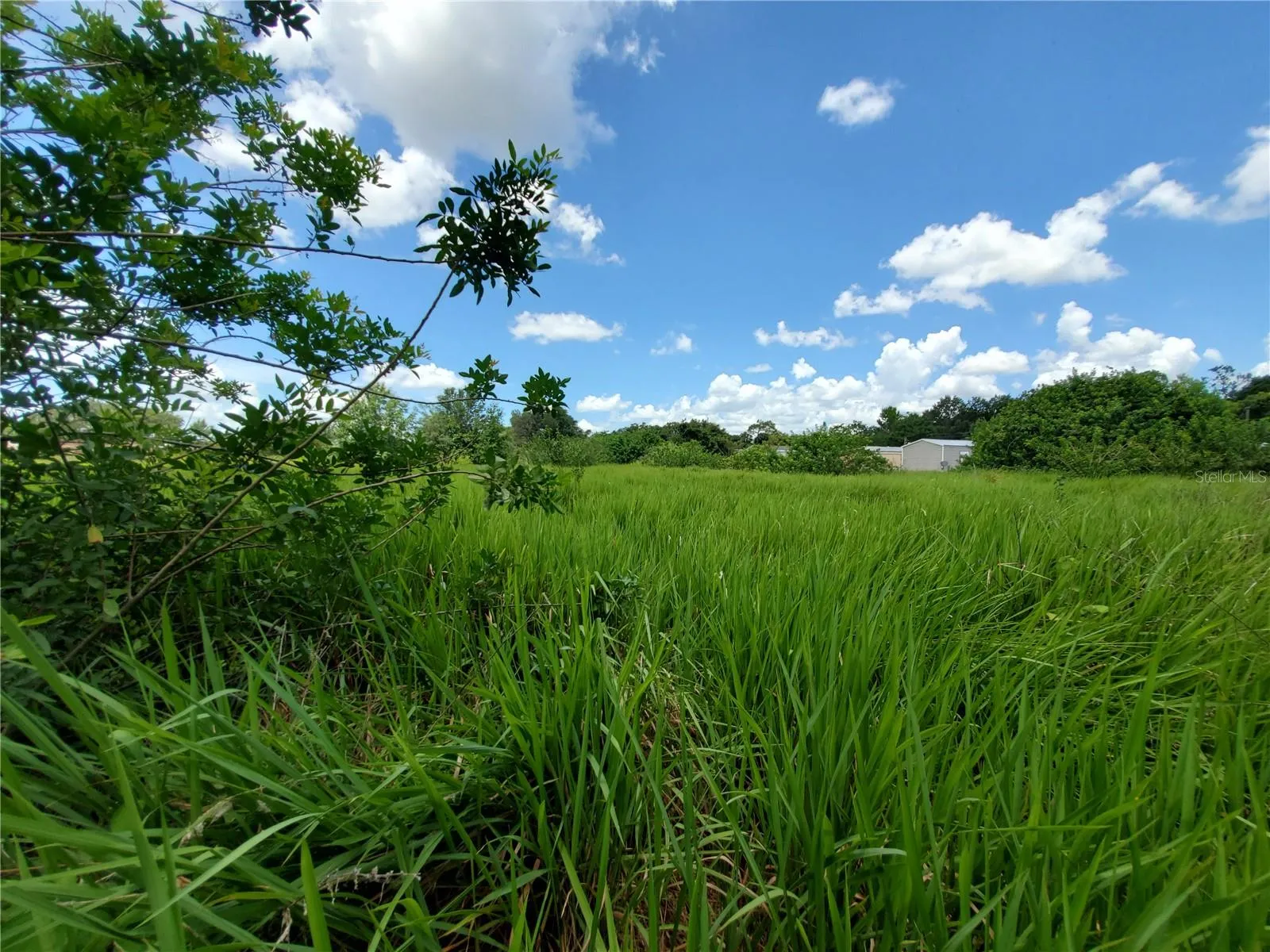 Lakeland, Florida 33801, 0 , 0 ,0,Land,For Sale,WOODLAND,0,L4924795