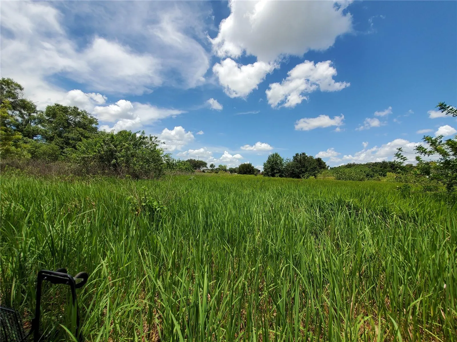 Lakeland, Florida 33801, 0 , 0 ,0,Land,For Sale,WOODLAND,0,L4924795