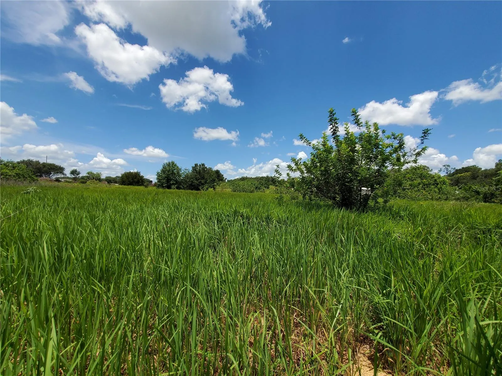 Lakeland, Florida 33801, 0 , 0 ,0,Land,For Sale,WOODLAND,0,L4924795