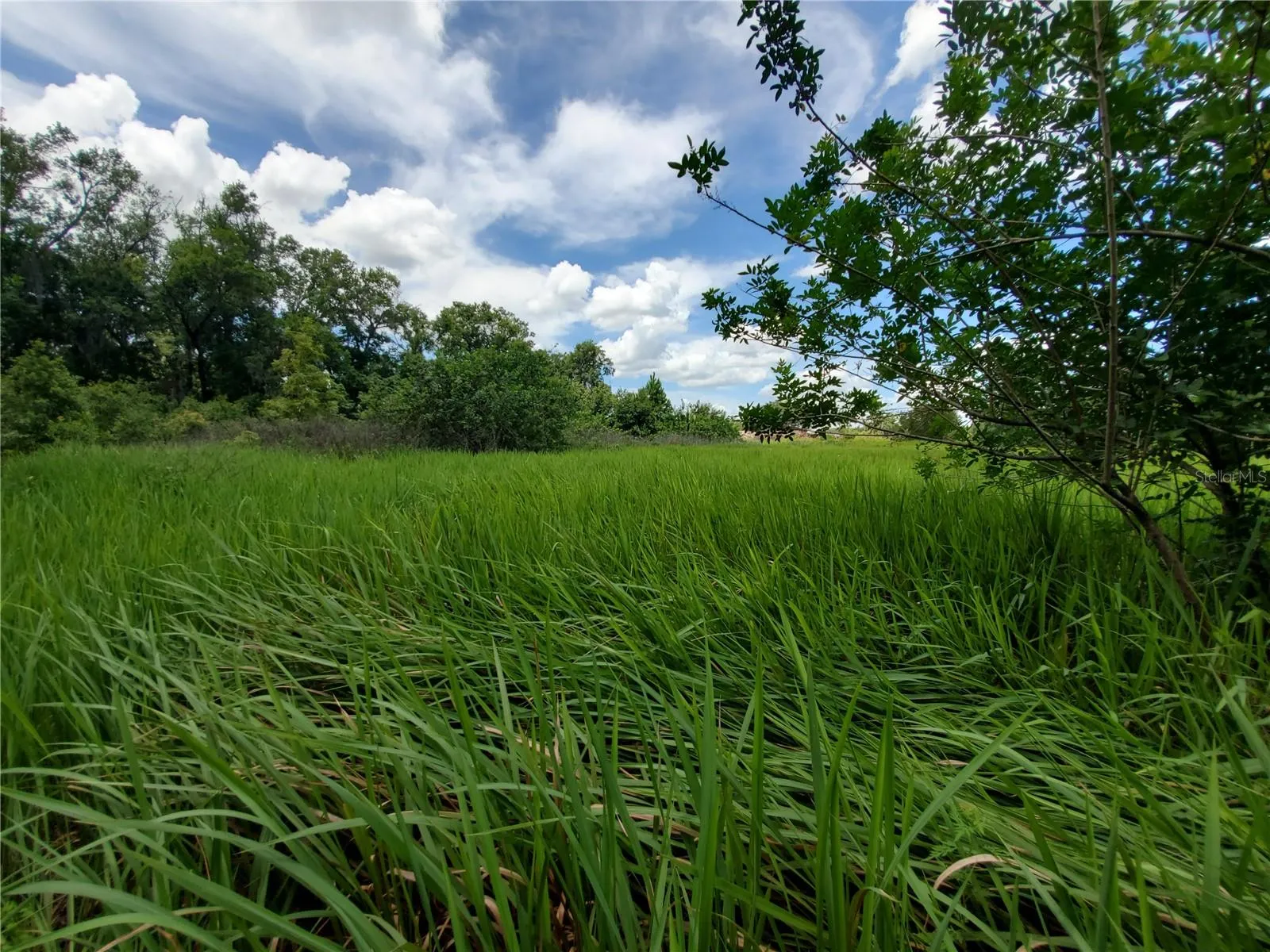 Lakeland, Florida 33801, 0 , 0 ,0,Land,For Sale,WOODLAND,0,L4924795