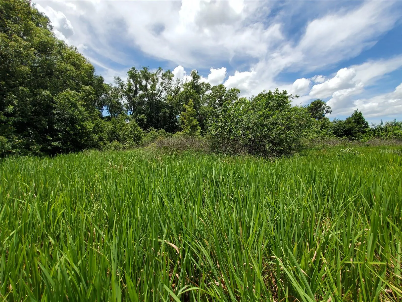 Lakeland, Florida 33801, 0 , 0 ,0,Land,For Sale,WOODLAND,0,L4924795
