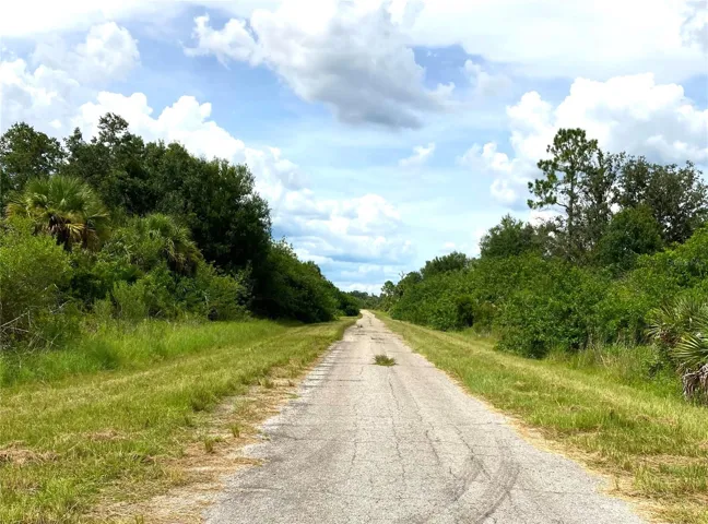 Street/Road view