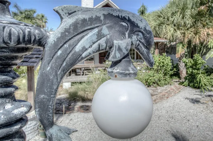 Dolphin light