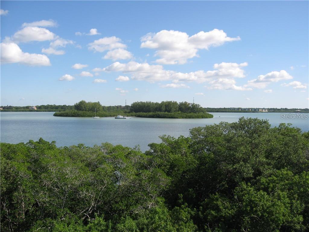 view