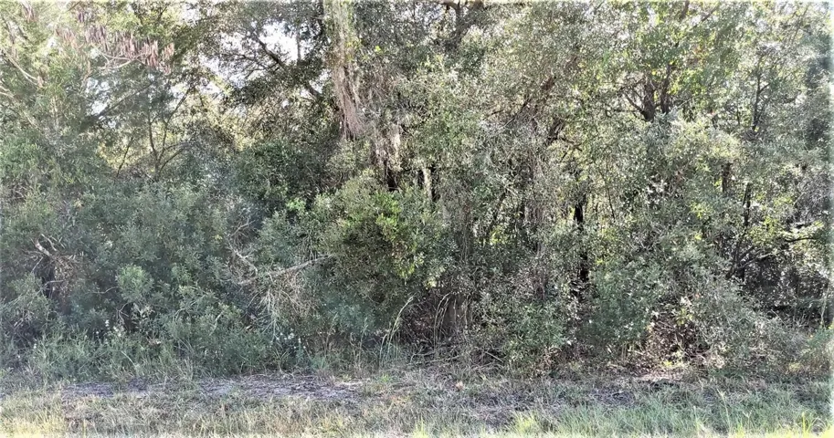 front of lot