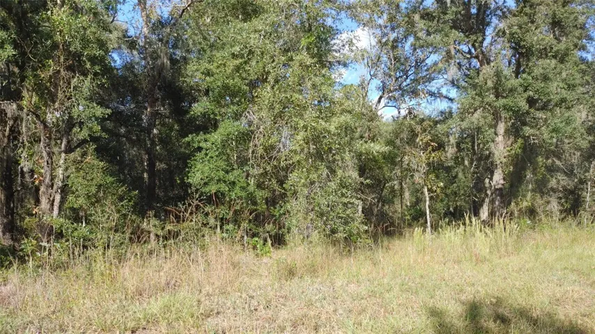 front of lot