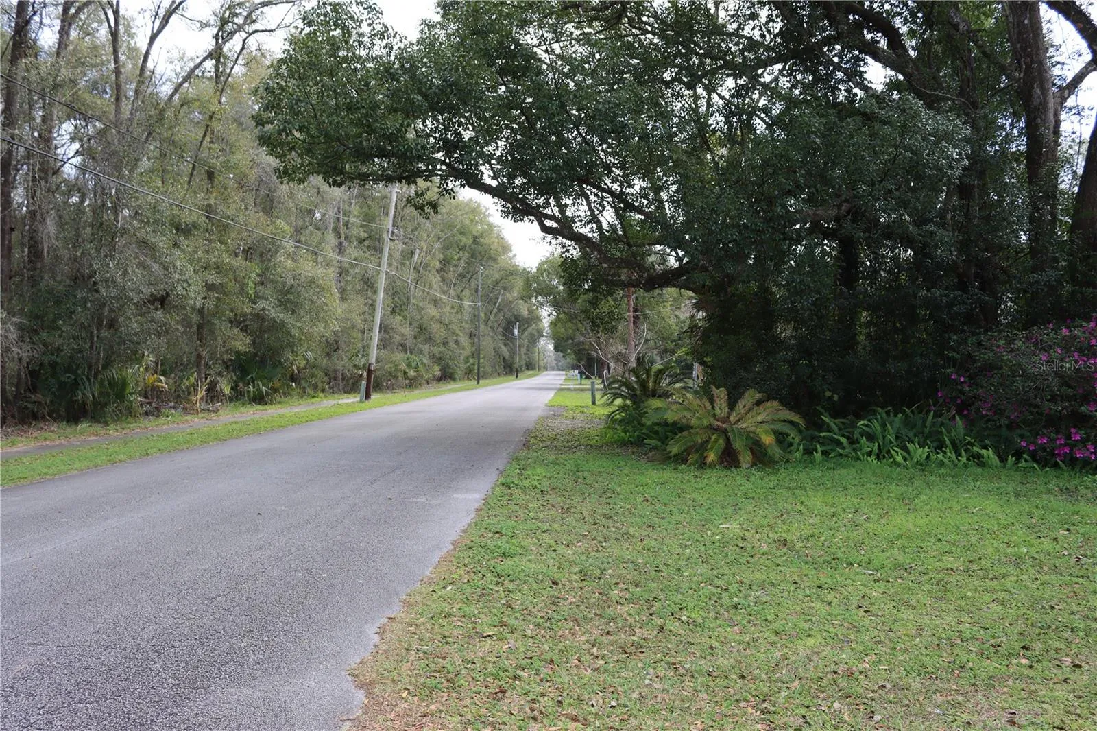Deland, Florida 32720, 0 , 0 ,0,Land,For Sale,LEMON,0,O5982557