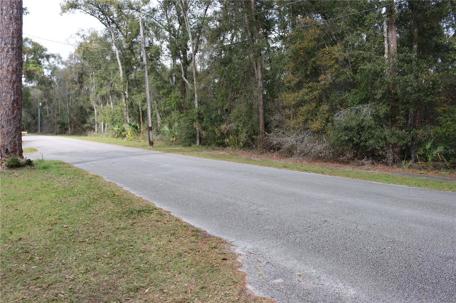Deland, Florida 32720, 0 , 0 ,0,Land,For Sale,LEMON,0,O5982557