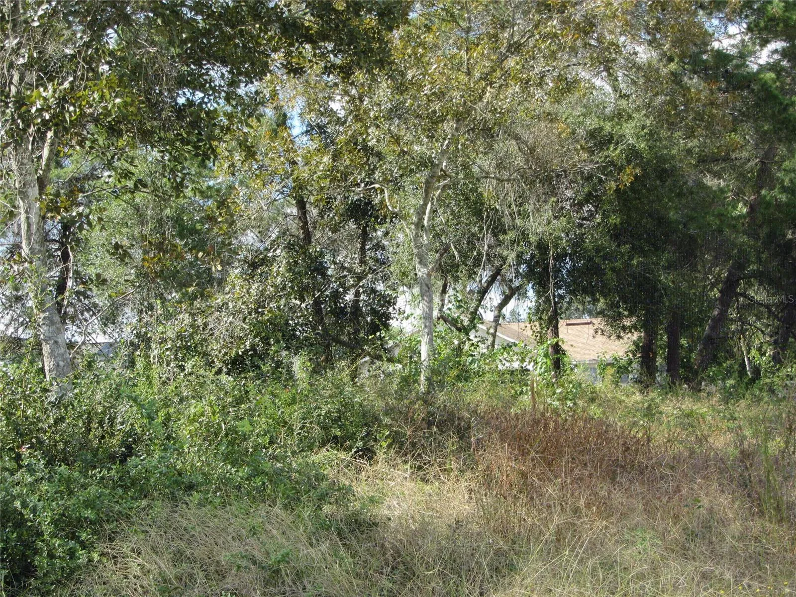 Deltona, Florida 32738, 0 , 0 ,0,Land,For Sale,CATALINA BLVD,0,O5983715