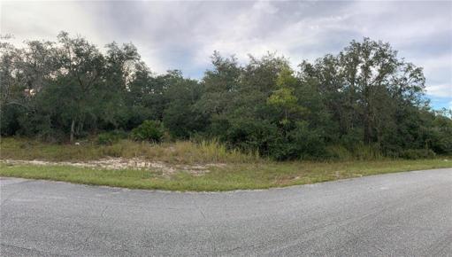 1621 Pickerel Court