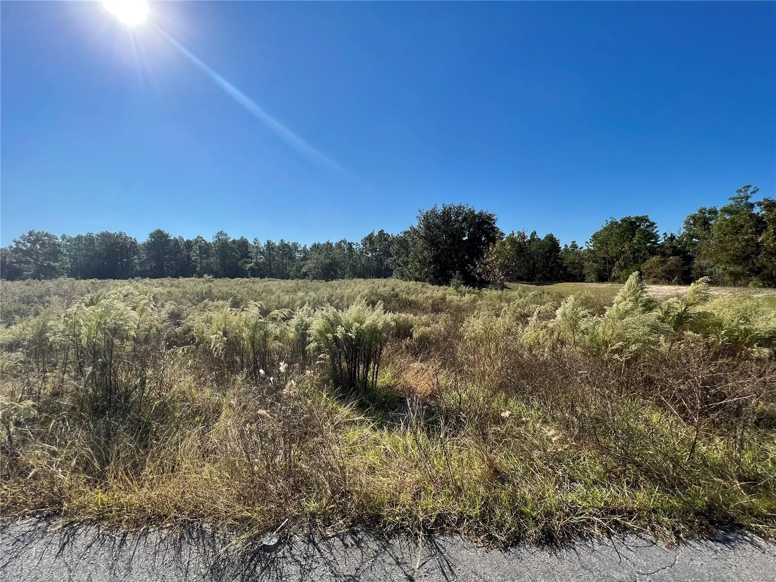 Spring Hill, Florida 34608, 0 , 0 ,0,Land,For Sale,KADRI,0,W7839798