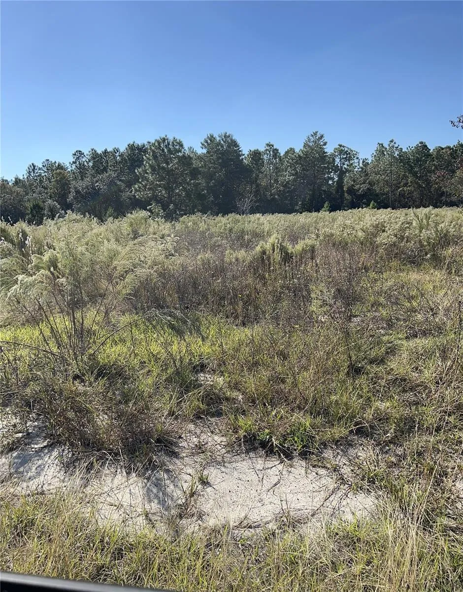 Spring Hill, Florida 34608, 0 , 0 ,0,Land,For Sale,KADRI,0,W7839798