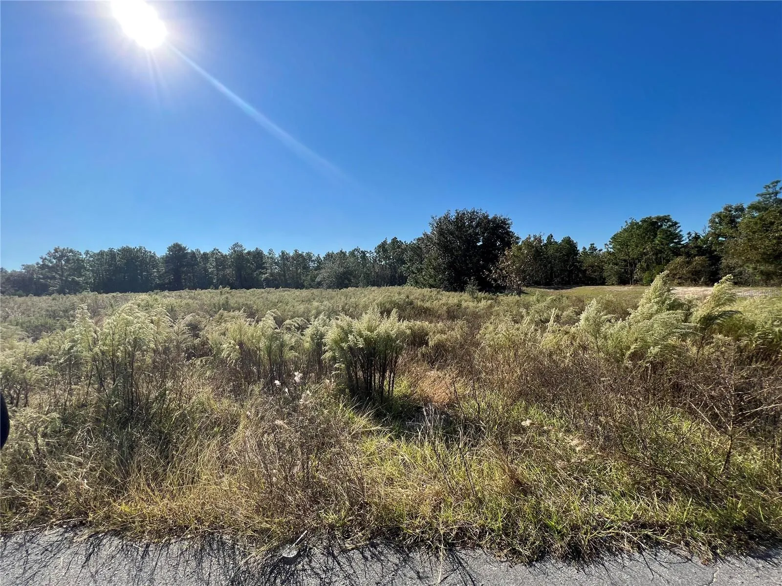 Spring Hill, Florida 34608, 0 , 0 ,0,Land,For Sale,KADRI,0,W7839798