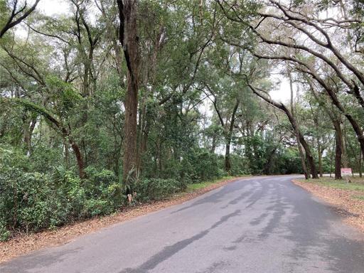 Property to the left of Flint Drive.