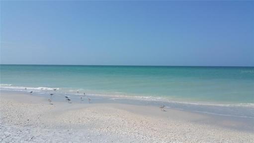 Boca Grande....one of my favorite local beaches....