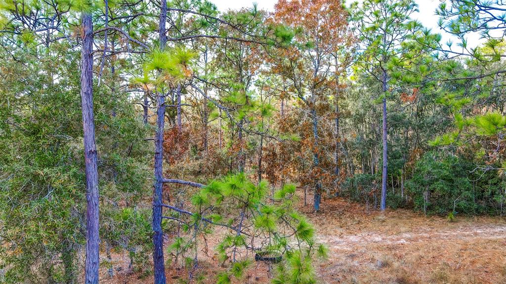 Brooksville, Florida 34614, 0 , 0 ,0,Land,For Sale,COMMERCIAL,0,W7840723