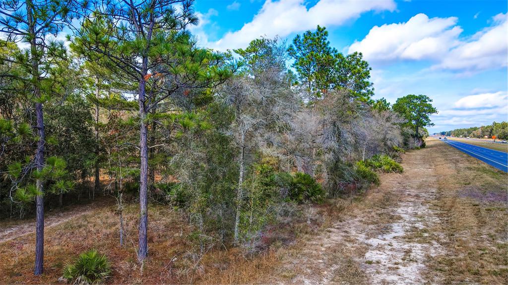Brooksville, Florida 34614, 0 , 0 ,0,Land,For Sale,COMMERCIAL,0,W7840723