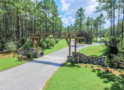 Bristle Cone Dr, Wewahitchka, Florida 32465, ,Land,For Sale,BRISTLE CONE DR,A4522430