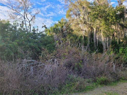 Large Buildable Lot!!