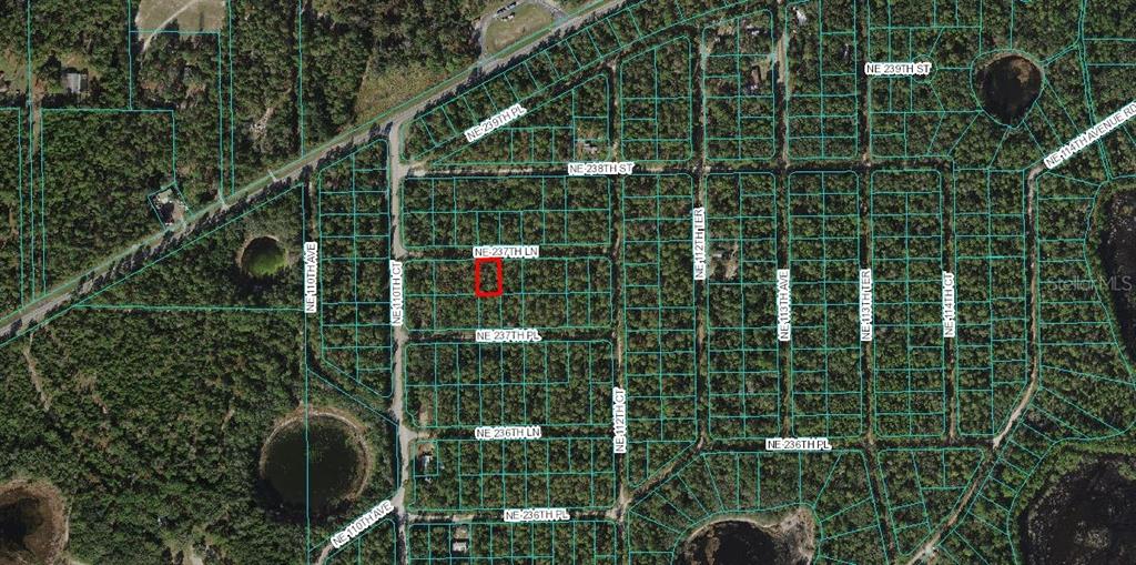 Fort Mc Coy, Florida 32134, 0 , 0 ,0,Land,For Sale,237TH,0,OM633388