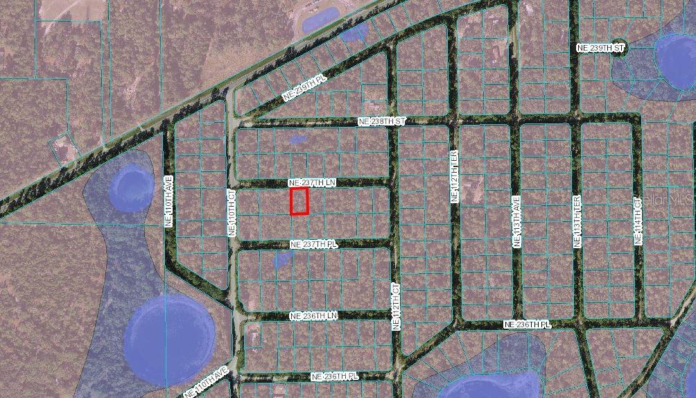 Fort Mc Coy, Florida 32134, 0 , 0 ,0,Land,For Sale,237TH,0,OM633388