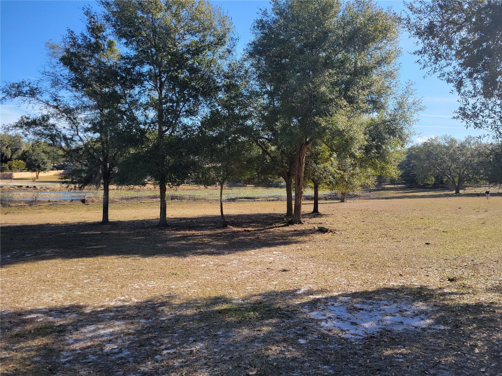 Apopka, Florida 32712, 0 , 0 ,0,Land,For Sale,PLYMOUTH SORRENTO,0,O6000570