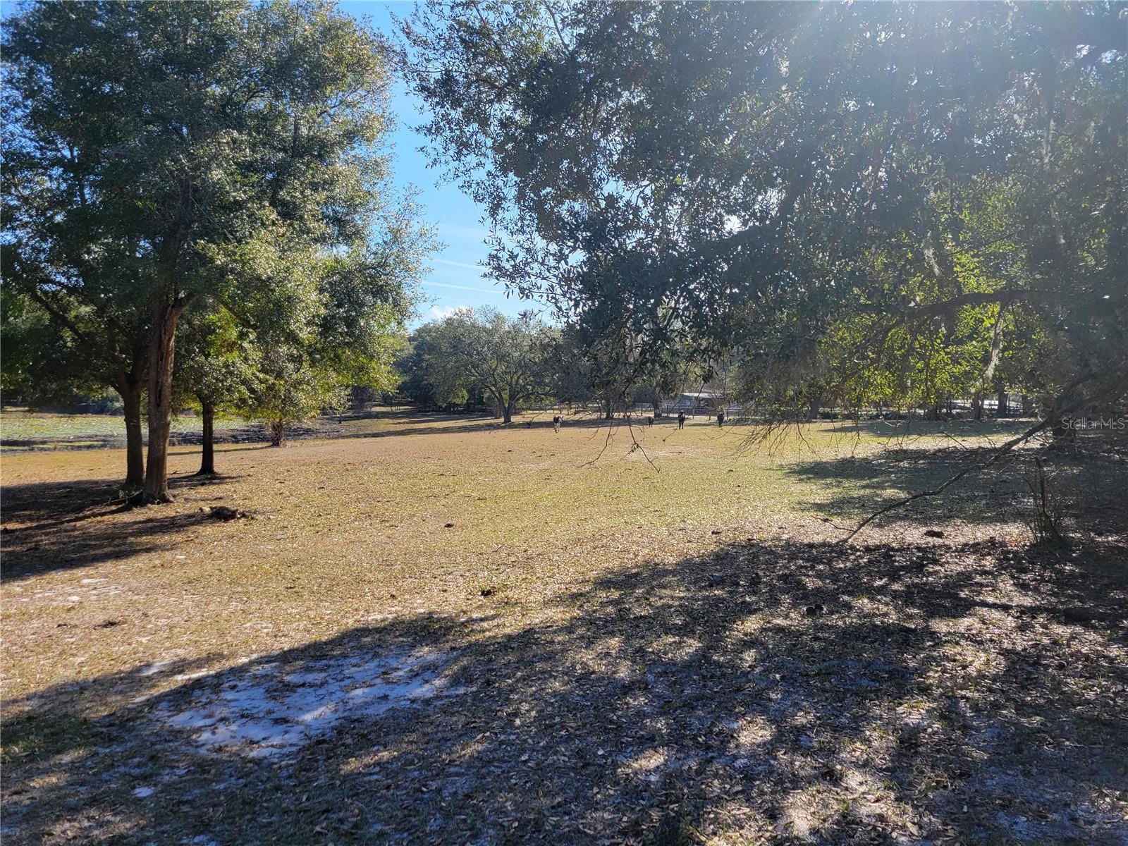 Apopka, Florida 32712, 0 , 0 ,0,Land,For Sale,PLYMOUTH SORRENTO,0,O6000570