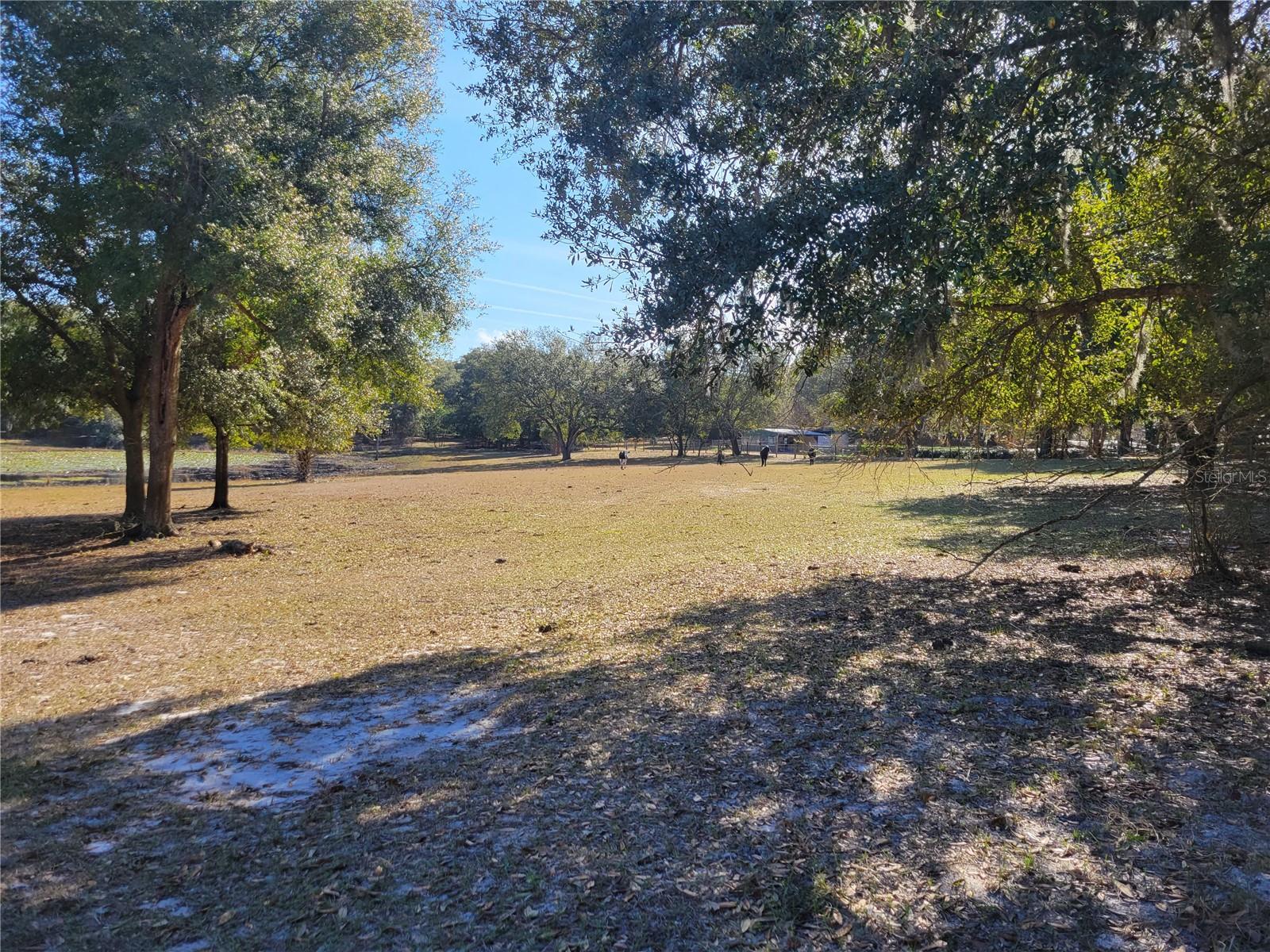 Apopka, Florida 32712, 0 , 0 ,0,Land,For Sale,PLYMOUTH SORRENTO,0,O6000570