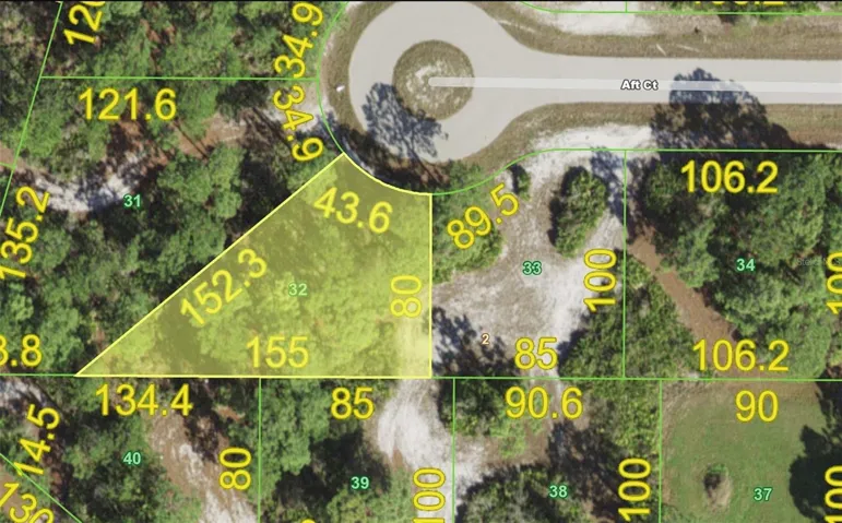 Aerial View of the lot