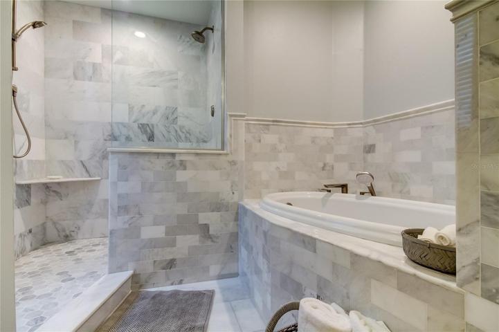 Master tub/Shower