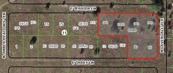 2361 E Tabby Lane, Inverness, Florida 34453, ,Land,For Sale,TABBY,W7841975