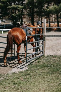 GETTING READY FOR SOME EXERCISE.  MAKE SCENES LIKE THIS YOUR NEW REALITY ON EQUESTRIAN TRAIL!