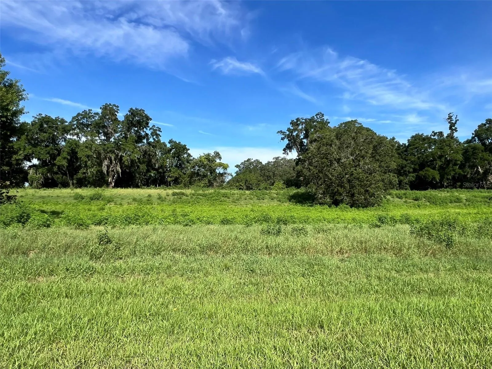 Ocala, Florida 34480, 0 , 0 ,0,Land,For Sale,8TH,0,OM634637