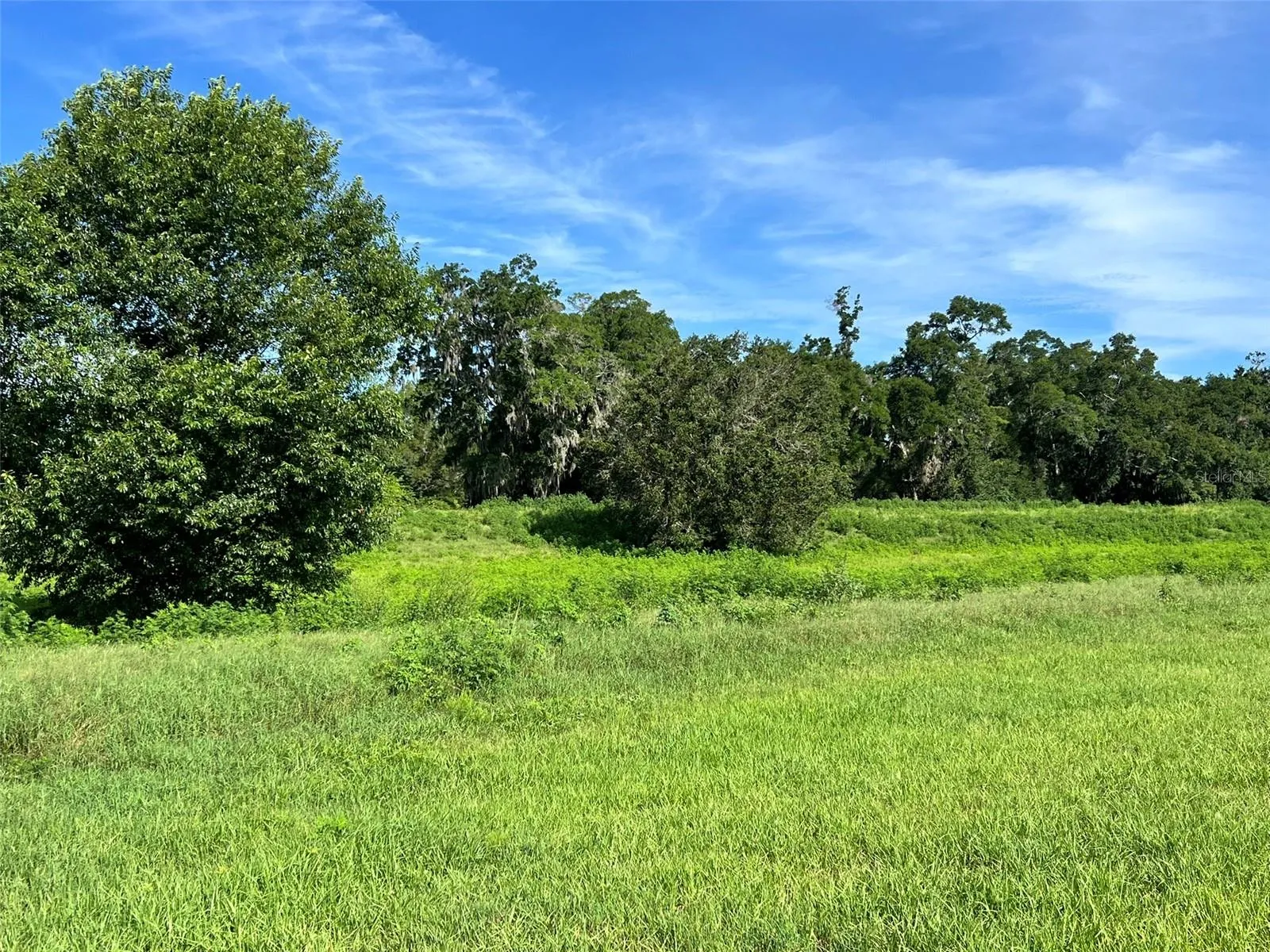 Ocala, Florida 34480, 0 , 0 ,0,Land,For Sale,8TH,0,OM634637