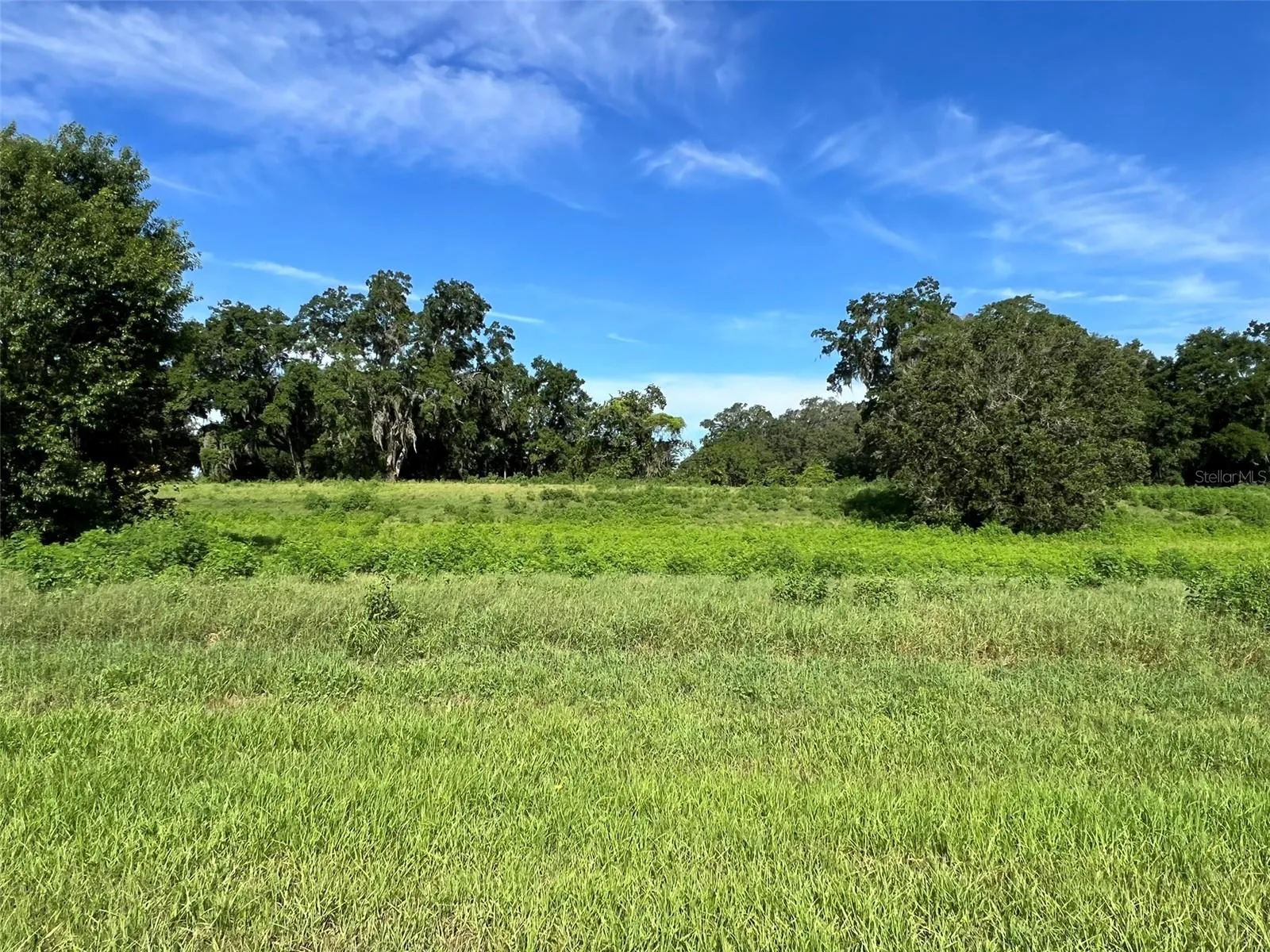 Ocala, Florida 34480, 0 , 0 ,0,Land,For Sale,8TH,0,OM634637