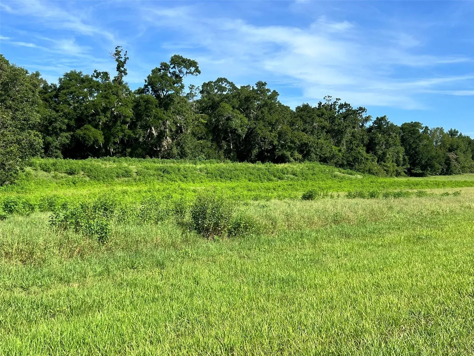 Ocala, Florida 34480, 0 , 0 ,0,Land,For Sale,8TH,0,OM634637