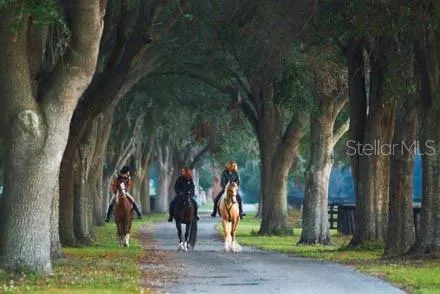 Ocala, Florida 34480, 0 , 0 ,0,Land,For Sale,8TH,0,OM634642