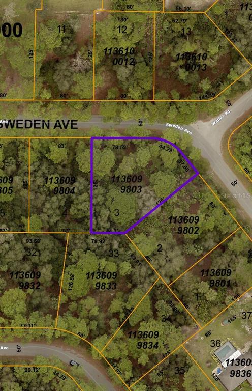 Sweden Avenue, North Port, Florida 34288, ,Land,For Sale,SWEDEN,C7455845