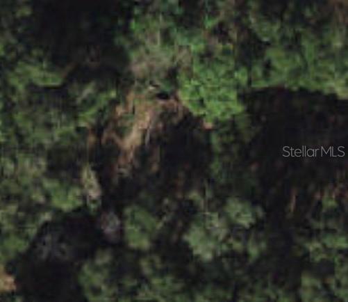 Belleview, Florida 34420, 0 , 0 ,0,Land,For Sale,131ST,0,OM634733