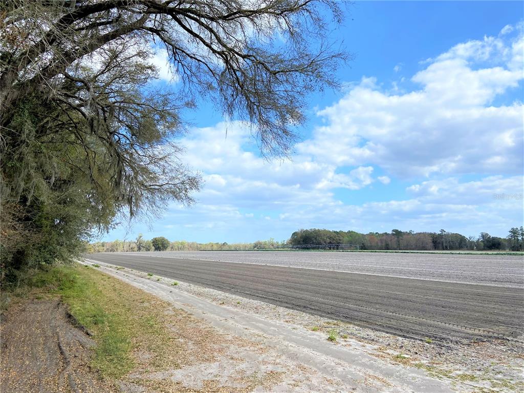 Alachua, Florida 32615, 0 , 0 ,0,Land,For Sale,COUNTY ROAD 239,0,GC502818