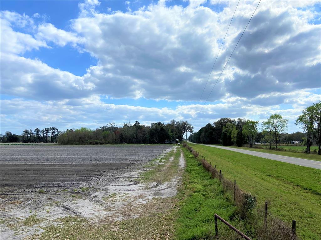 Alachua, Florida 32615, 0 , 0 ,0,Land,For Sale,COUNTY ROAD 239,0,GC502818