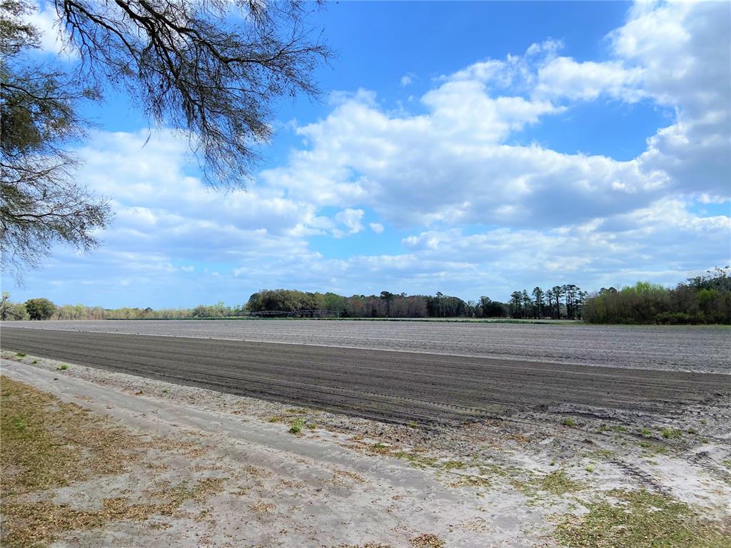 Alachua, Florida 32615, 0 , 0 ,0,Land,For Sale,COUNTY ROAD 239,0,GC502818