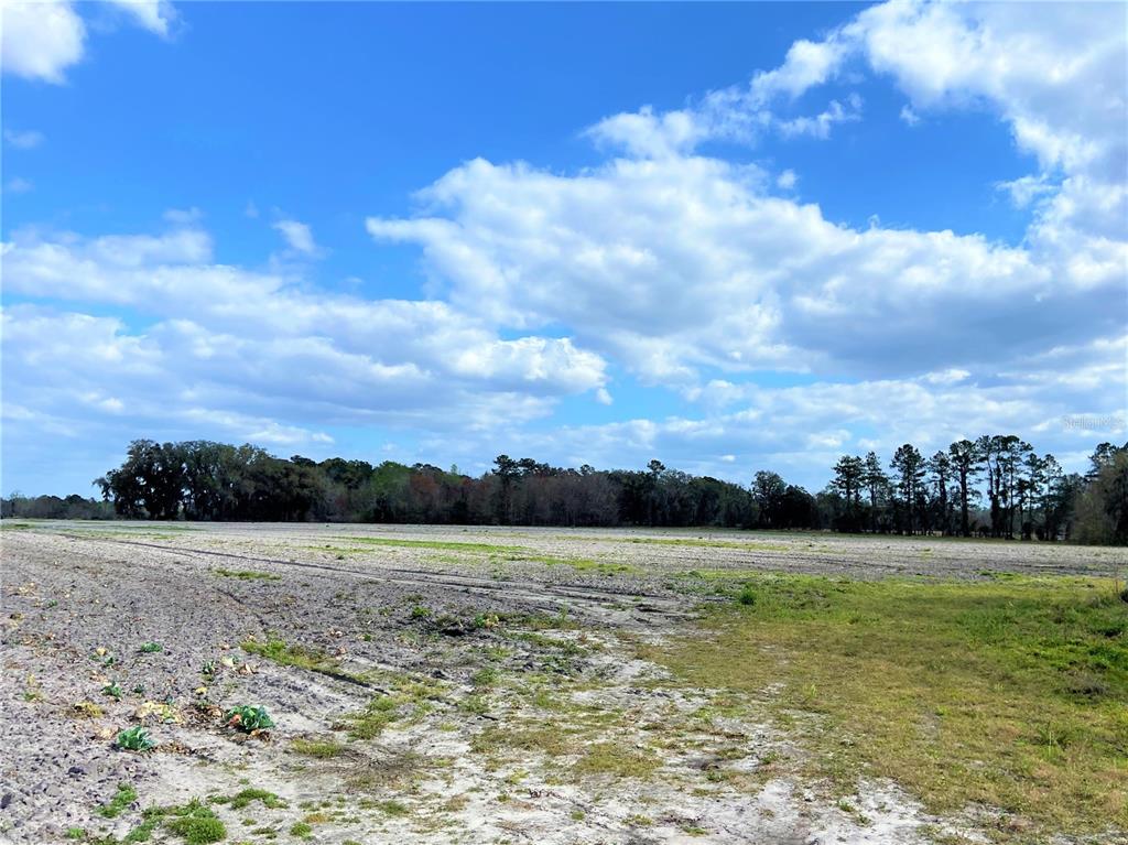 Alachua, Florida 32615, 0 , 0 ,0,Land,For Sale,COUNTY ROAD 239,0,GC502818