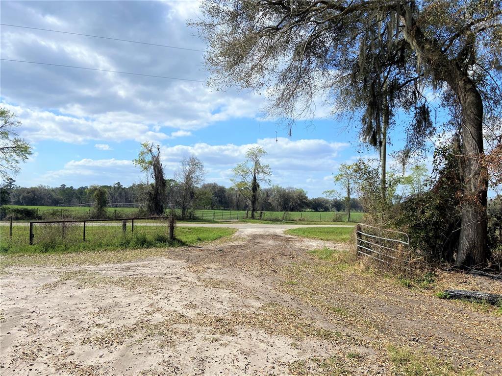 Alachua, Florida 32615, 0 , 0 ,0,Land,For Sale,COUNTY ROAD 239,0,GC502818